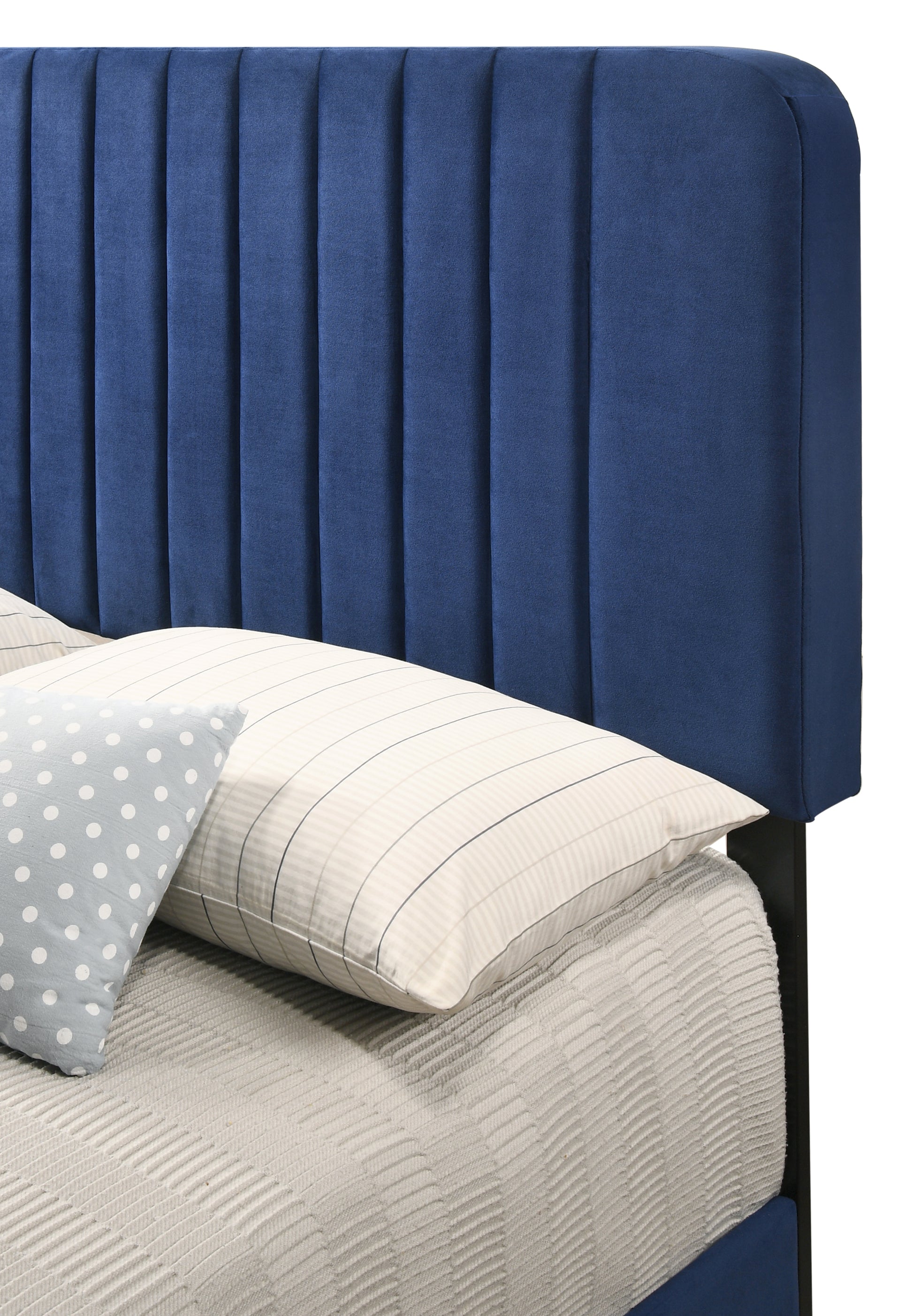 Lodi G0409 Fb Up Full Bednavy Blue Navy Blue Foam Velvet