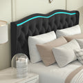 Queen Platform Bed Framevelvet Upholstered Bed With Deep Tufted Buttons And Trim, Adjustable Colorful Led Light Decorative Headboard, Bed Sides With Pull Out Storage 4 Drawers, Black Queen Black Velvet