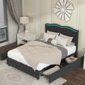 Queen Platform Bed Framevelvet Upholstered Bed With Deep Tufted Buttons And Trim, Adjustable Colorful Led Light Decorative Headboard, Bed Sides With Pull Out Storage 4 Drawers, Black Queen Black Velvet