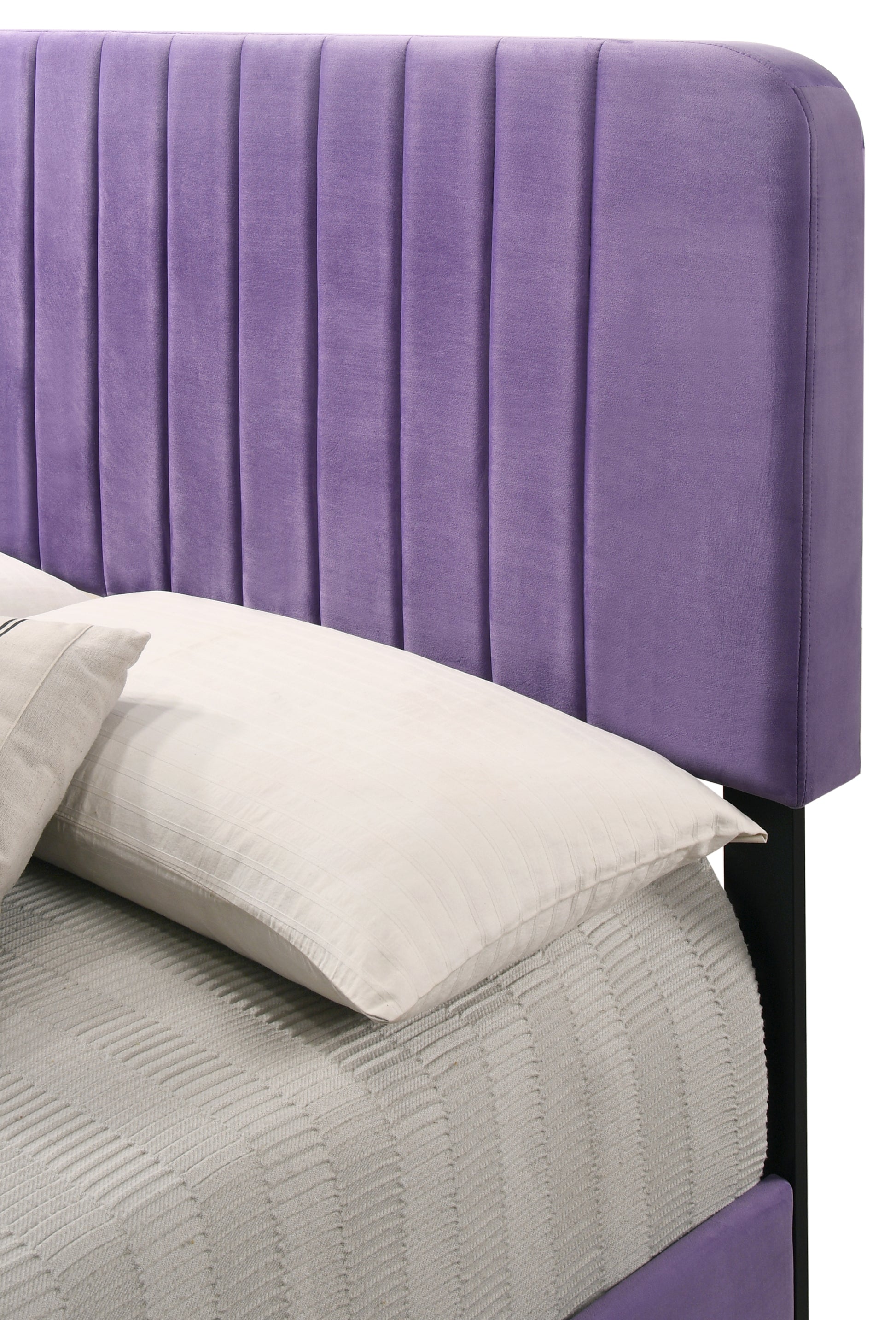 Lodi G0502 Kb Up King Bedpurple Purple Foam Velvet