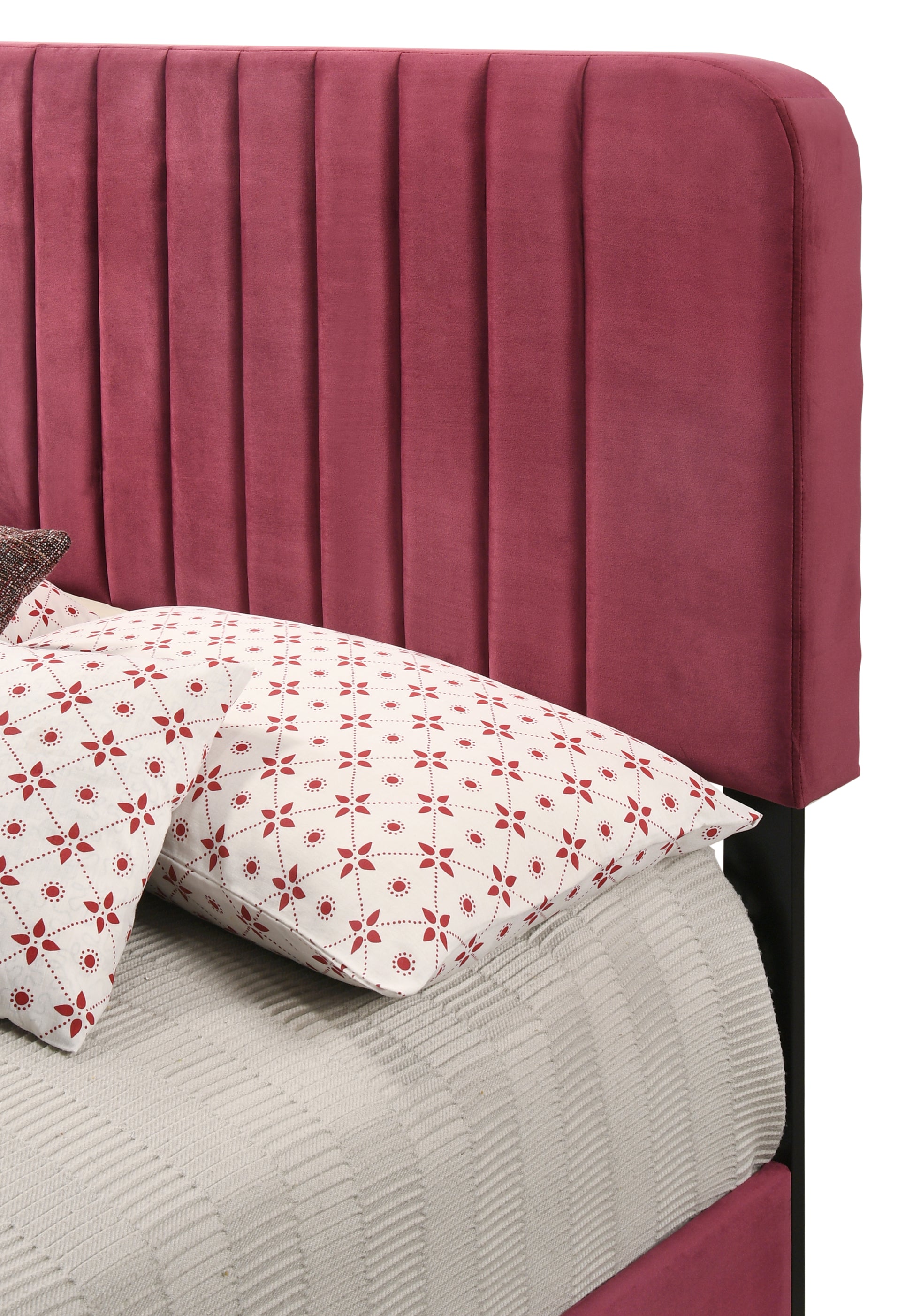 Lodi G0503 Qb Up Queen Bedcherry Cherry Foam Velvet