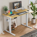 Electric Height Adjustable Standing Desk,Sit To Stand Ergonomic Computer Desk,Yellow,55'' X 24