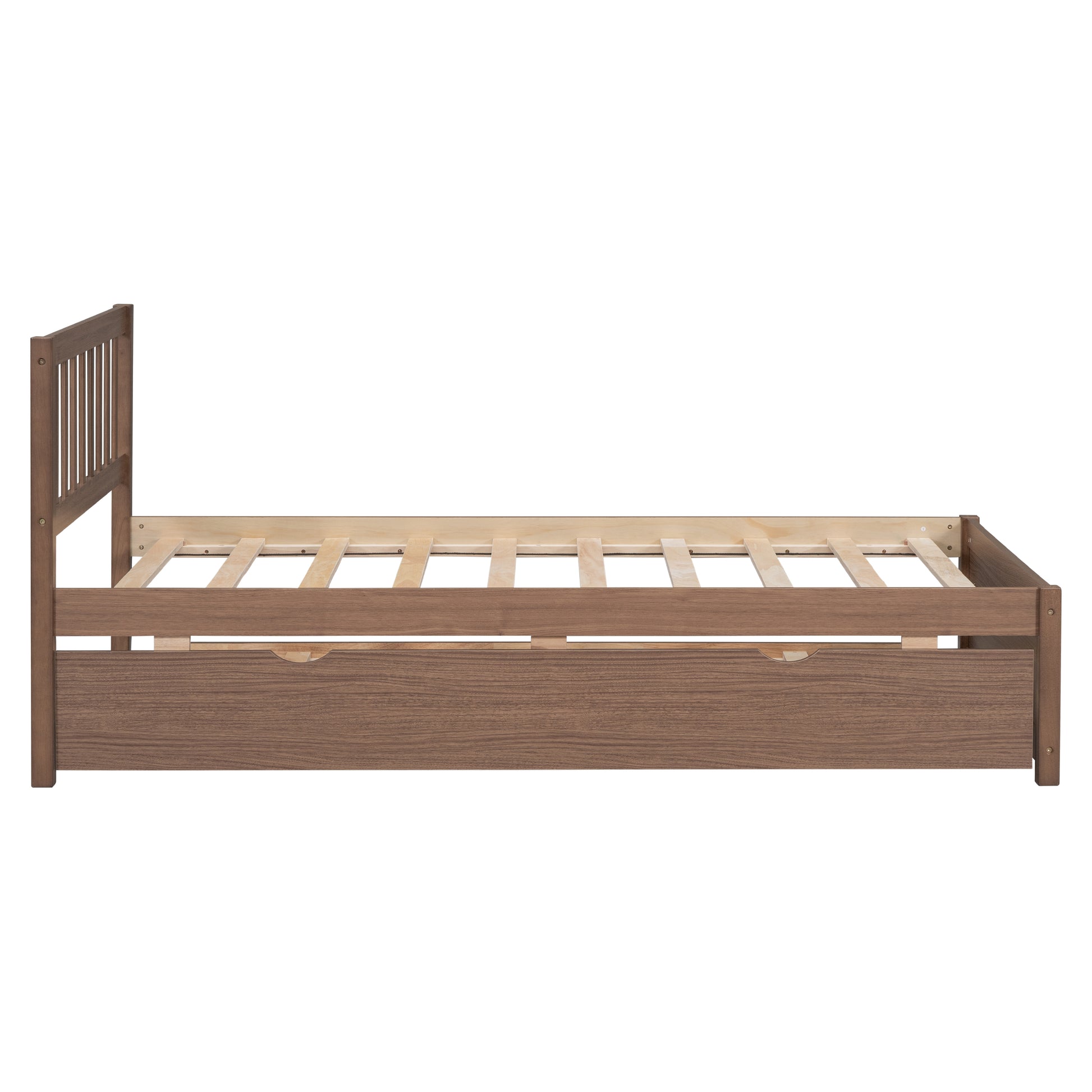 Modern Design Wooden Twin Size Platform Bed Frame With Trundle For Walnut Color Walnut Rubber Wood