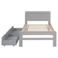 Modern Design Twin Size Platform Bed Frame With 2 Drawers For Grey Color Twin Grey Rubber Wood