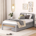 Modern Design Twin Size Platform Bed Frame With 2 Drawers For Grey Color Twin Grey Rubber Wood