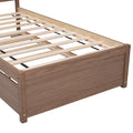 Modern Design Wooden Twin Size Platform Bed Frame With Trundle For Walnut Color Walnut Rubber Wood