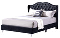 Joy G1934 Qb Up Queen Upholstered Bedblack Box Spring Required Queen Black Foam Velvet