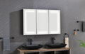 48*30 In Led Mirror Lighted Medicine Cabinet With Lights, Led Medicine Cabinet W Defogger, Dimmer, 3X Makeup Mirror, Outlets & Usb Matte Black Aluminium