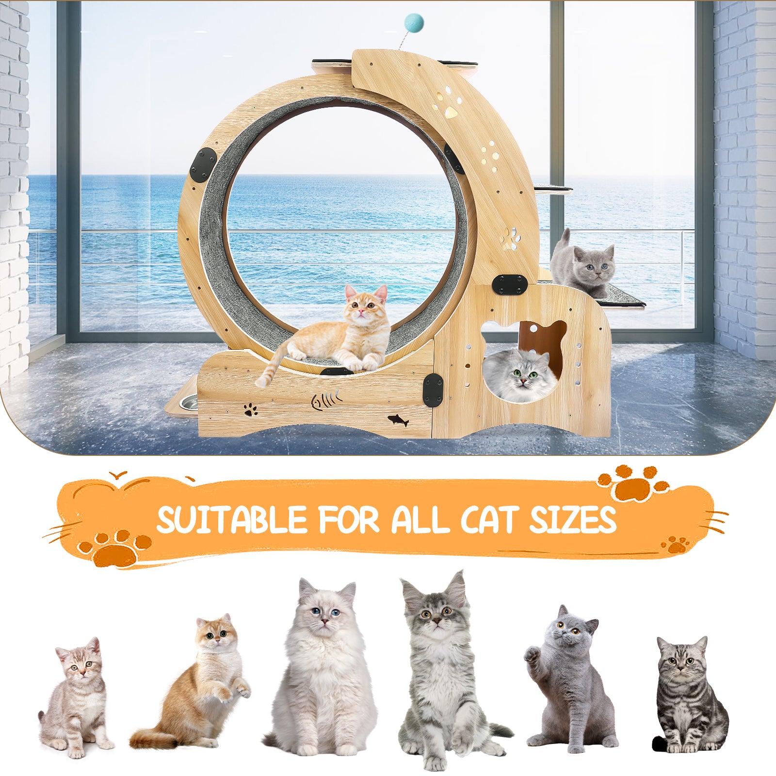 Cat Wheel 6 In 1 Cat Exercise Wheel,Upgraded Cat Wheel Exerciser For Indoor Cats,Large Cat Treadmill,Cat Running Wheel With Silent Wheel,Cat Walking Wheel Cat Furniture Cat Toys Natural Wood Wood