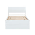 Modern Twin Bed Frame With 2 Drawers For White High Gloss Headboard And Footboard With Creamy White Color Box Spring Not Required Twin Creamy White,White Bedroom Bed Frame Mdf,Rubber Wood