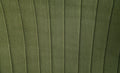 Fallon Side Chair Set 2 , Green Velvet & Mirrored Gold Finish Dn01956 Green Velvet