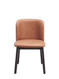 Eliora Side Chair Set 2 , Camel Fabric & Black Finish Dn02367 Camel Fabric