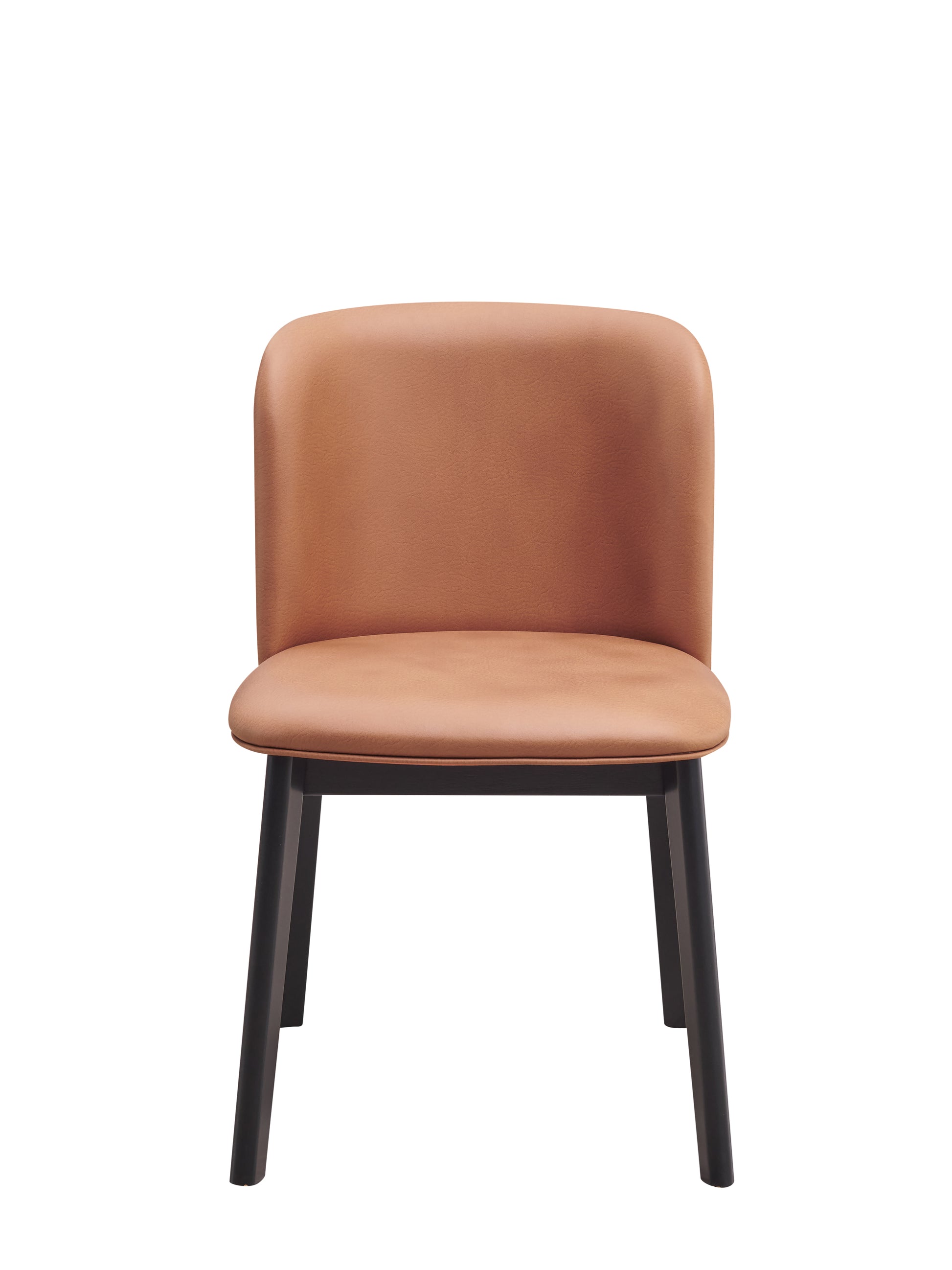 Eliora Side Chair Set 2 , Camel Fabric & Black Finish Dn02367 Camel Fabric