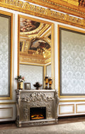 Sorina Fireplace Silver & Gold Finish Ac01619 Gold Mdf