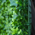 Artificial Grass Wall Panel Backdrop, 12 20