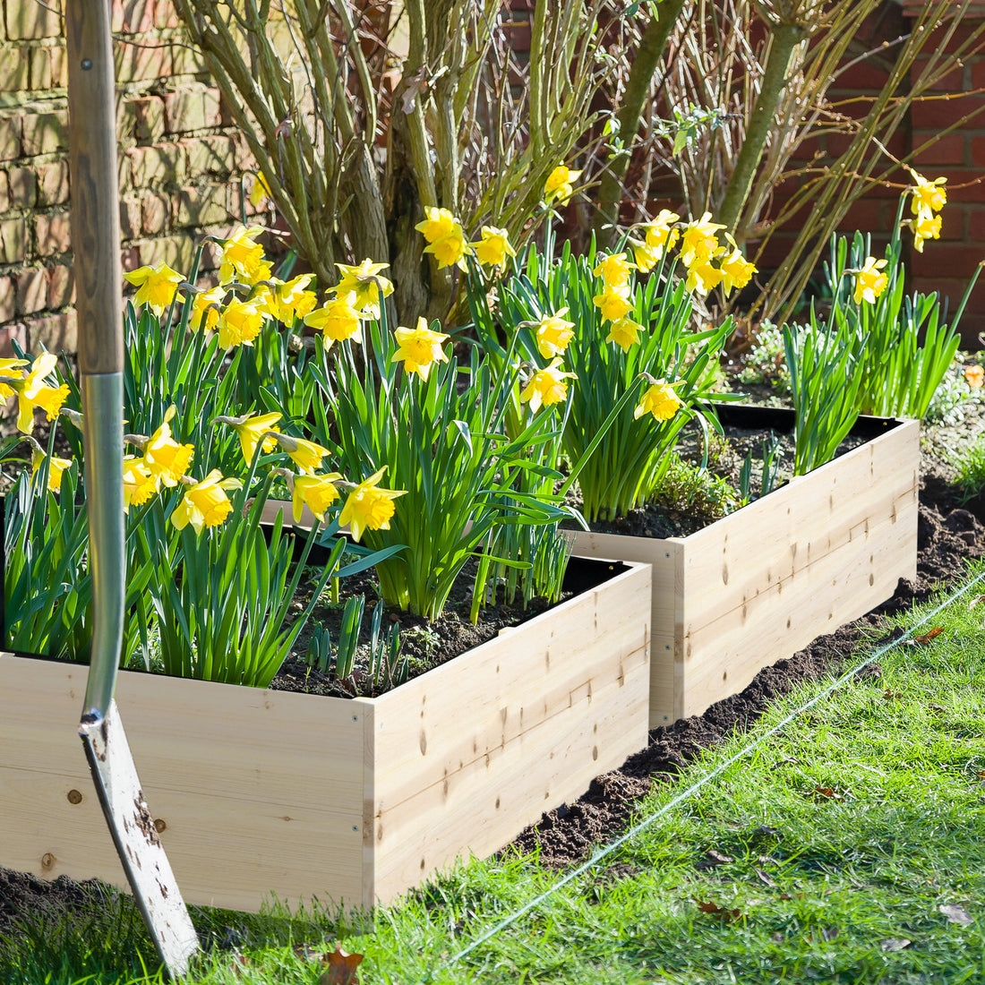 Wooden Raised Garden Bed Kit, Elevated Planter Box With Bed Liner For Backyard, Patio To Grow Vegetables, Herbs, And Flowers, 4' X 4' X 12" Natural Wood