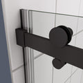 Bathtub Shower Door, Sliding Door, With 5 16