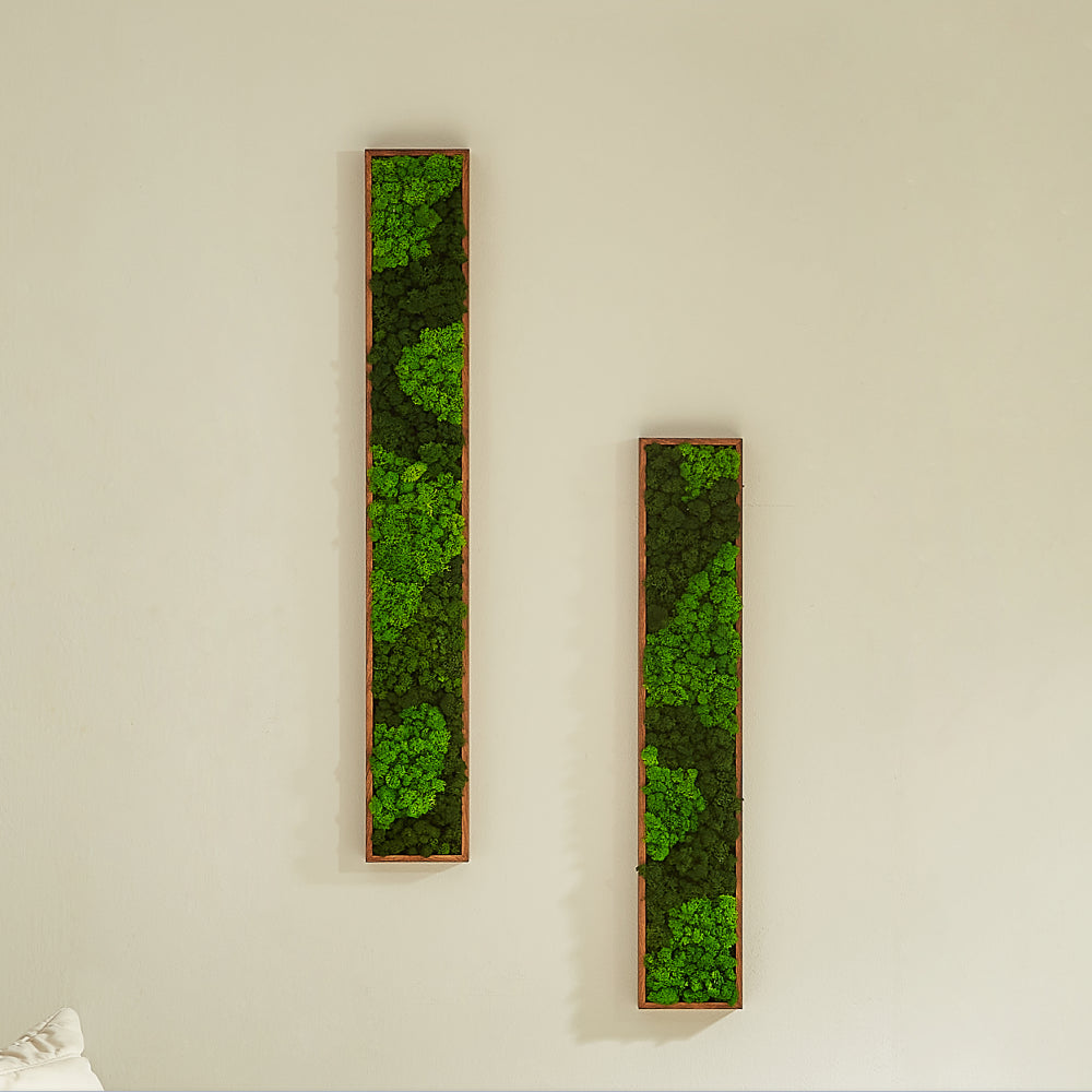 Rectangular Mixed Moss Wall Art, Only The Medium Pc Green Iron