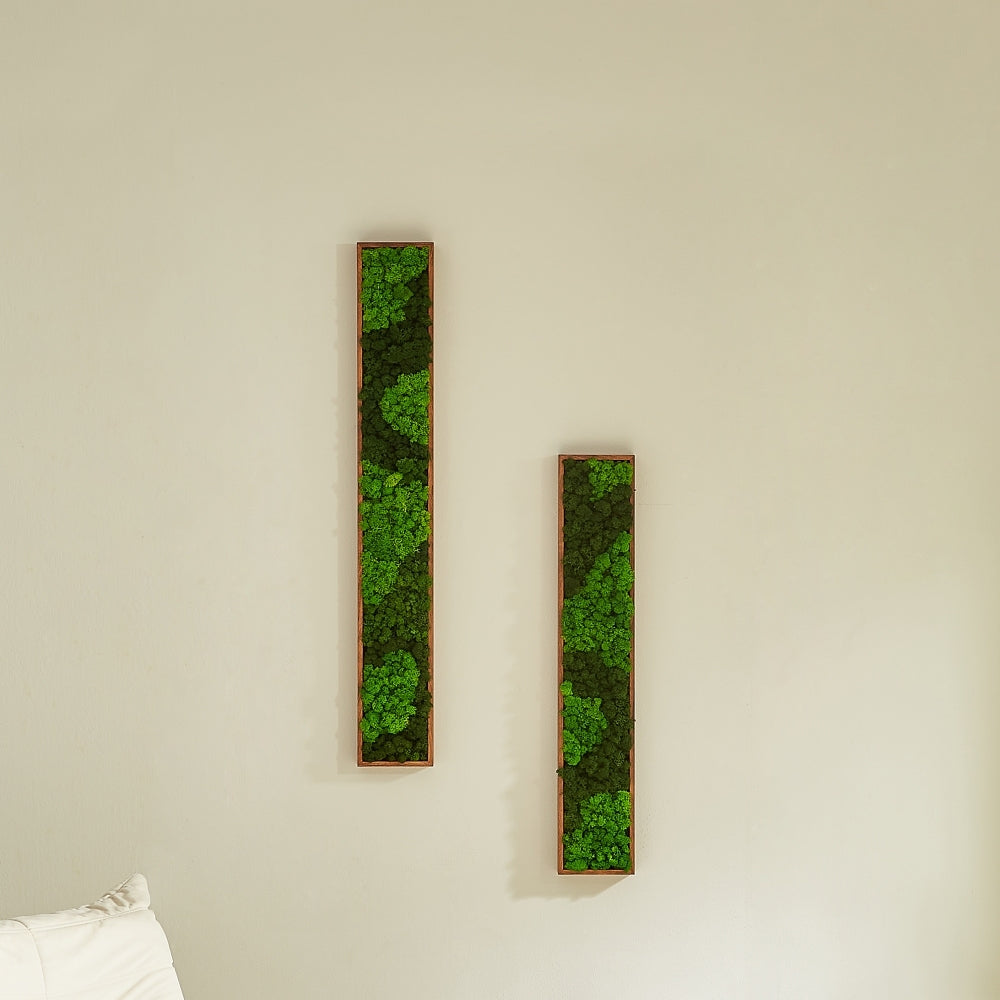 Rectangular Mixed Moss Wall Art, Only The Medium Pc Green Iron