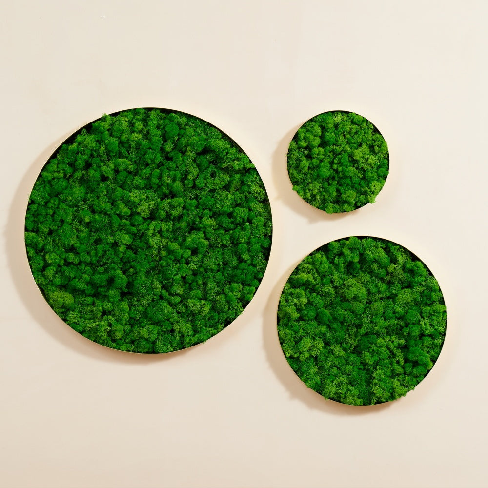 Round Framed Moss Wall Decor 3Pcs Green Iron