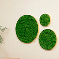 Round Framed Moss Wall Decor, Only The Small Pc Green Iron