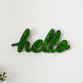 Hello Letter Art Moss Wall Decor Green Iron