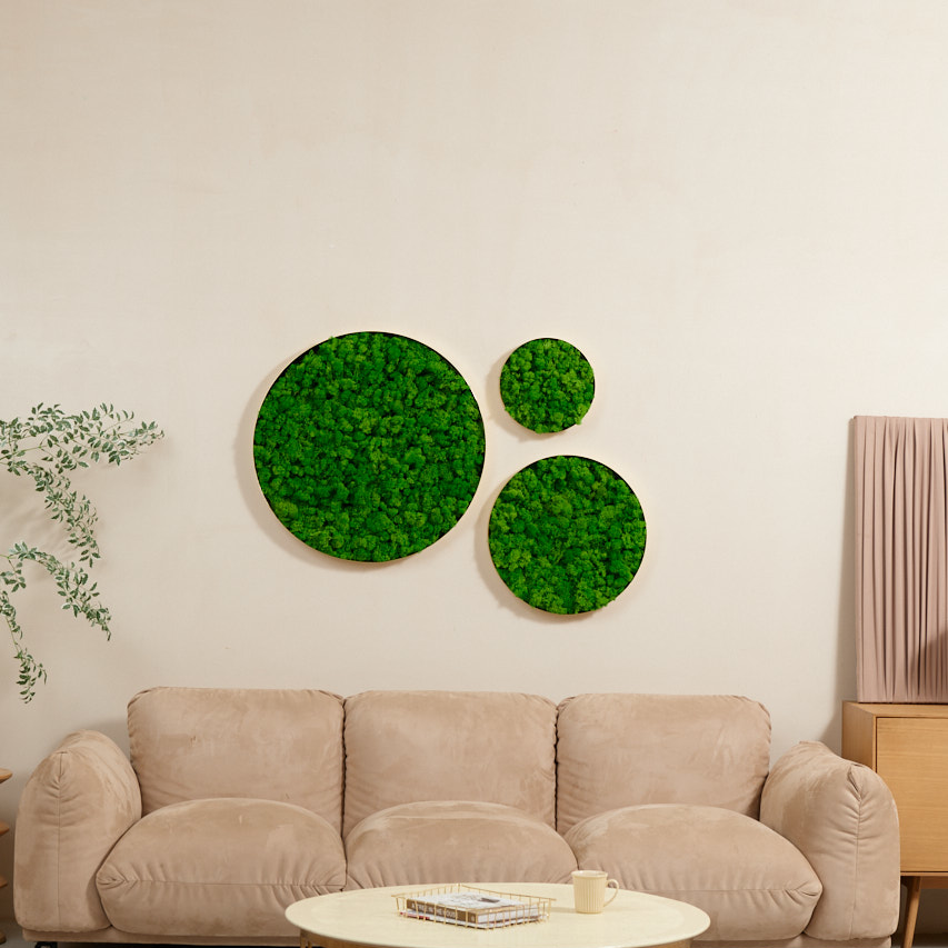 Round Framed Moss Wall Decor 3Pcs Green Iron