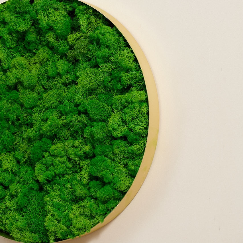 Round Framed Moss Wall Decor, Only The Small Pc Green Iron