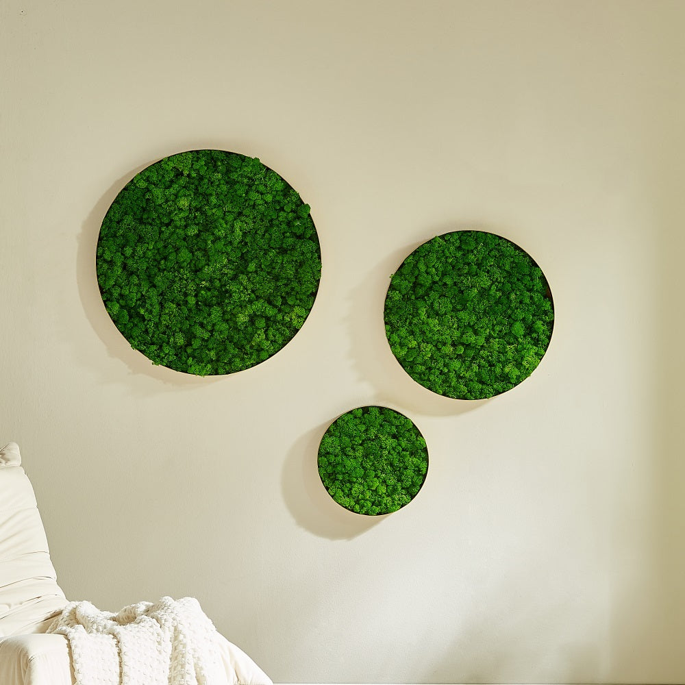 Round Framed Moss Wall Decor, Only The Small Pc Green Iron