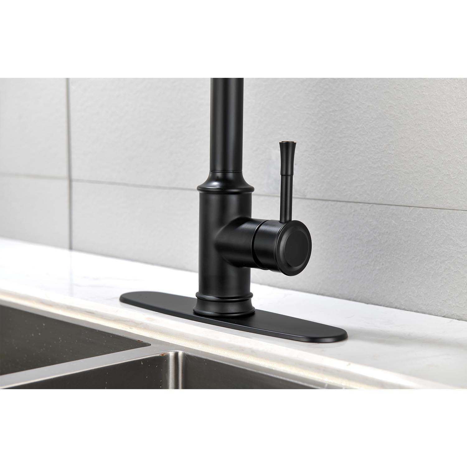 Single Handle High Arc Pull Out Kitchen Faucet,Single Level Stainless Steel Kitchen Sink Faucets With Pull Down Sprayer Matte Black Stainless Steel