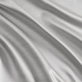 Pleat Curtain Panel With Tieback Only 1 Pc Panel Silver Polyester