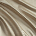 Pleat Curtain Panel With Tieback Only 1 Pc Panel Champagne Polyester