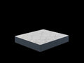 Restonic Comfortcare Dreamlux Firm, Twin White Blue Steel Foam