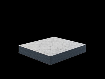 Restonic Comfortcare Dreamlux Firm, Twin White Blue Steel Foam
