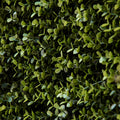 Artificial Grass Wall Panel Backdrop, 12 20