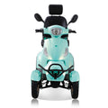 Electric Mobility Scooter With Big Size ,High Power Green Abs Pc