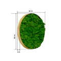 Round Framed Moss Wall Decor, Only The Medium Pc Green Iron