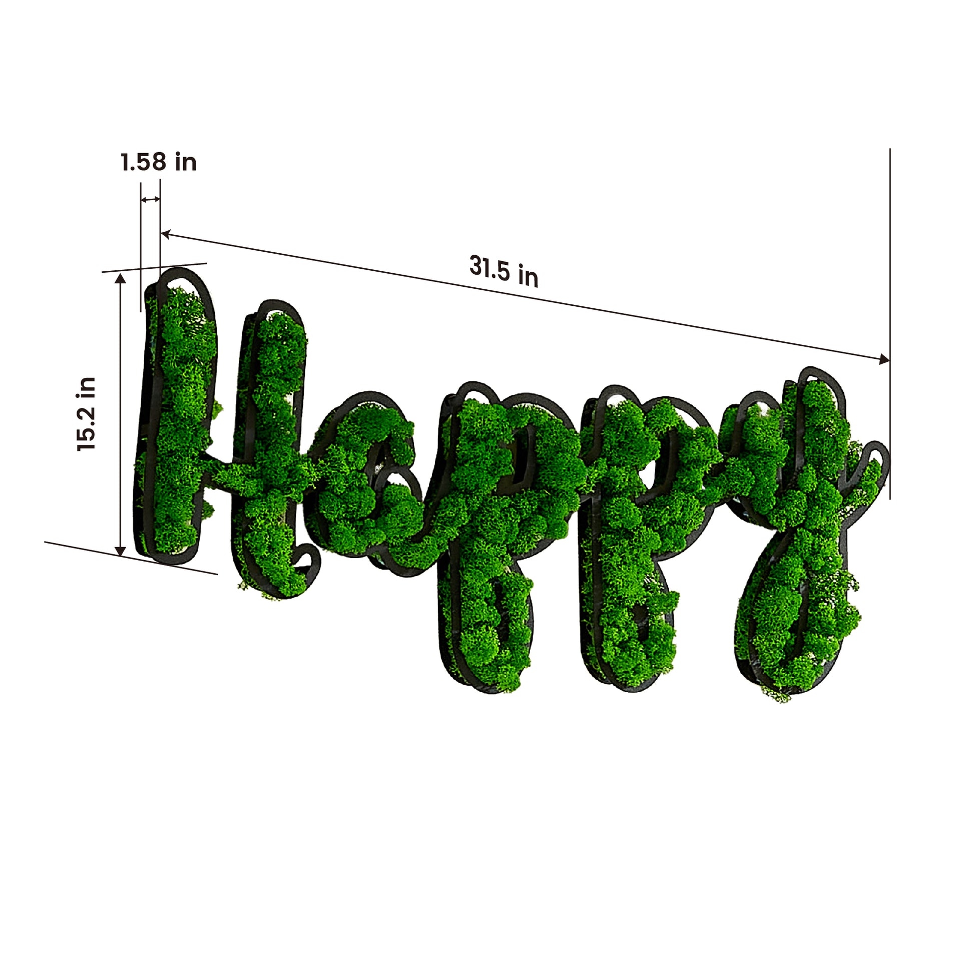 Happy Letter Art Moss Wall Decor Green Iron