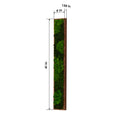 Rectangular Mixed Moss Wall Art, Only The Medium Pc Green Iron