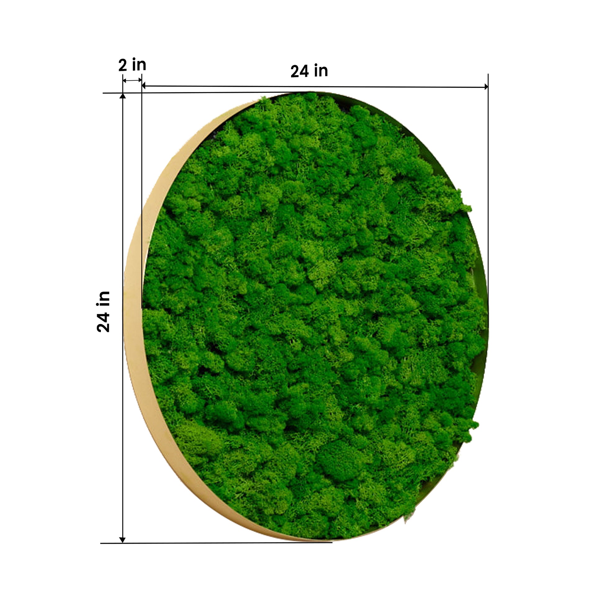 Round Framed Moss Wall Decor, Only The Large Pc Green Iron