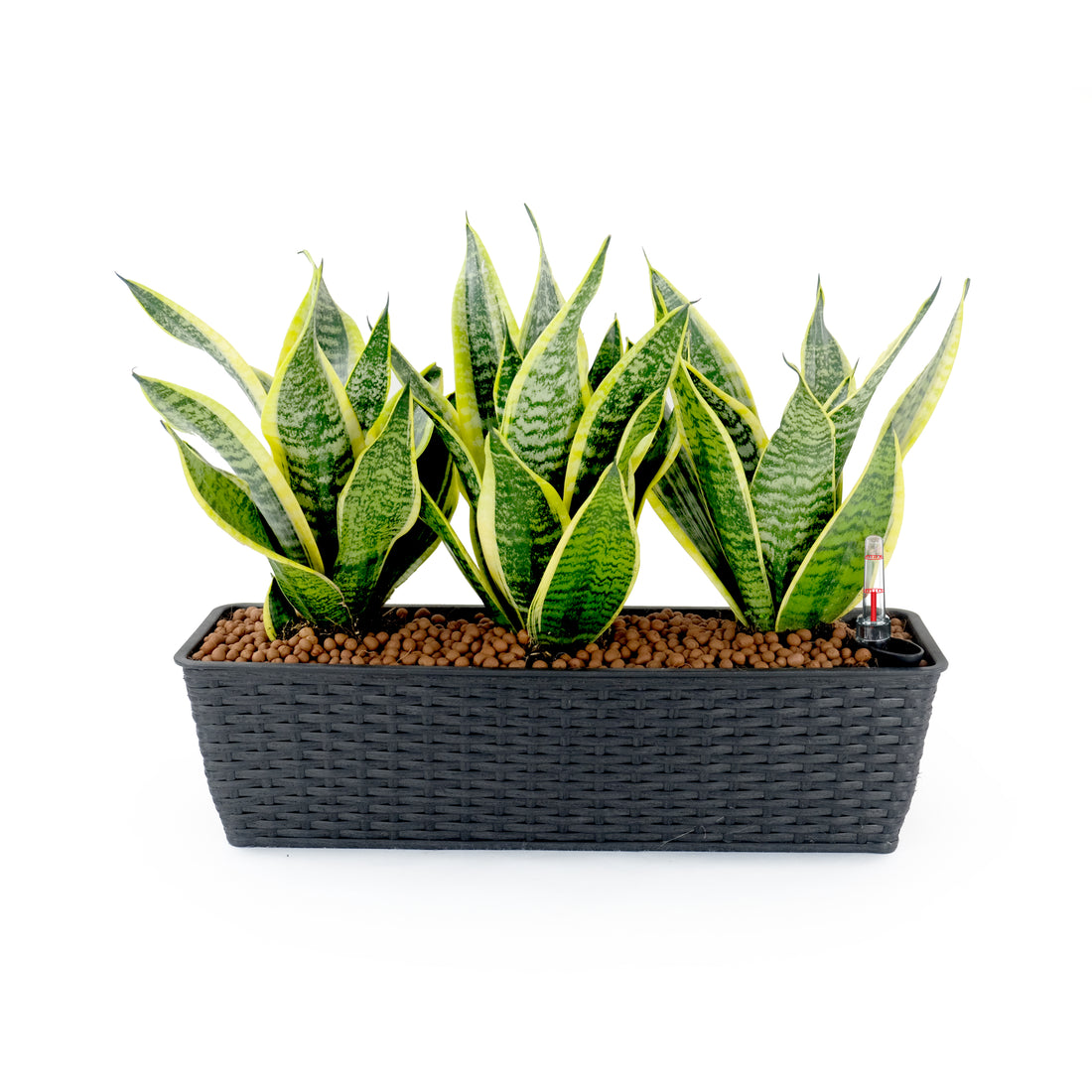 2 Pack Smart Self Watering Rectangle Planter For Indoor And Outdoor Hand Woven Wicker Espresso Espresso Plastic Rattan