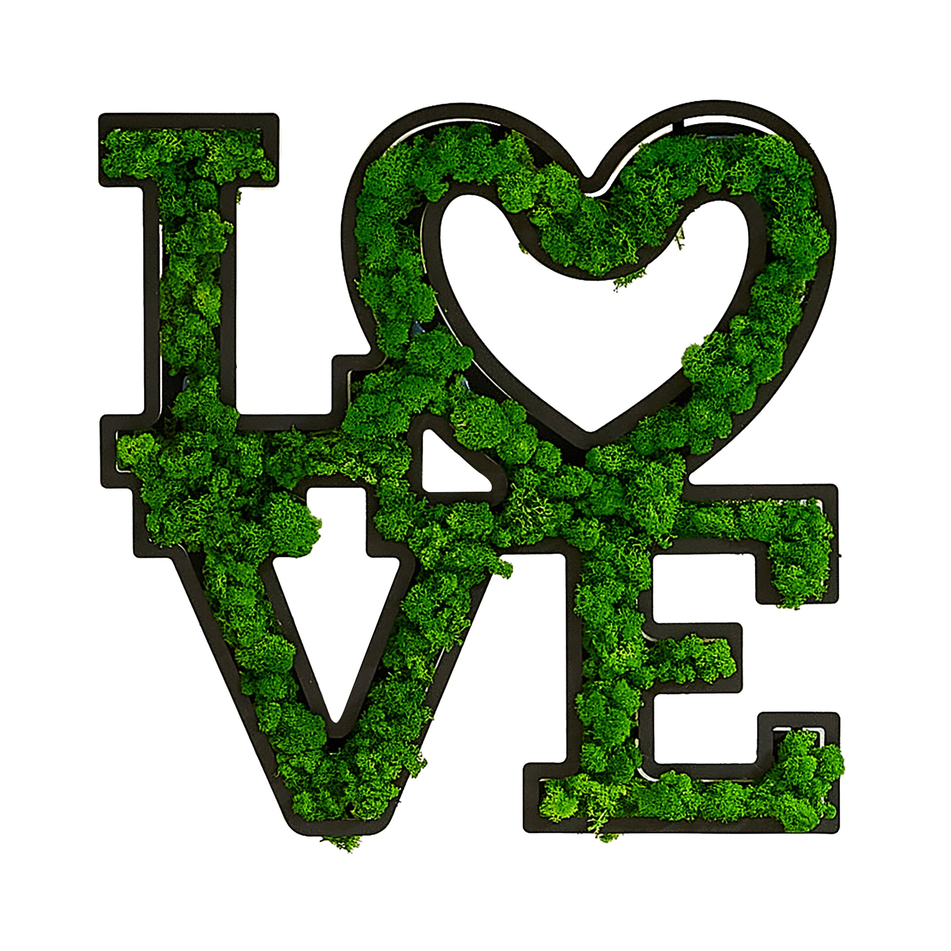 Letter Art Moss Wall Decor Green Iron