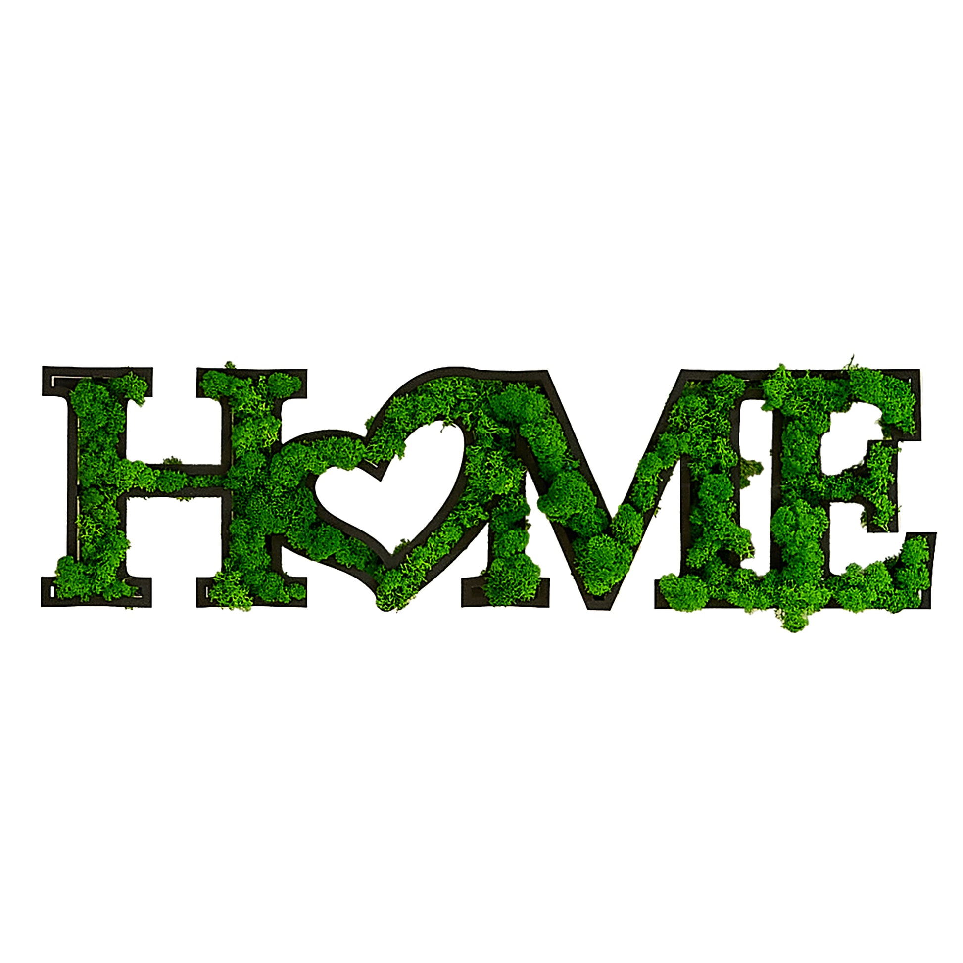 Home Letter Art Moss Wall Decor Green Iron