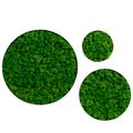 Round Framed Moss Wall Decor 3Pcs Green Iron