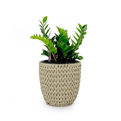 14.6" Self Watering Wicker Planter Garden Decoration Pot Beige Round Beige Rattan Metal