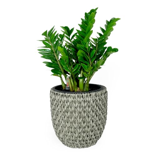 14.6" Self Watering Wicker Planter Garden Decoration Pot Gray Round Gray Rattan Metal