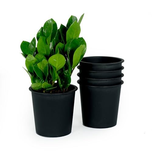 6.3" Round Nursery Plant Pot Garden Plastic Pots With Drainage 5 Pack Black Plastic