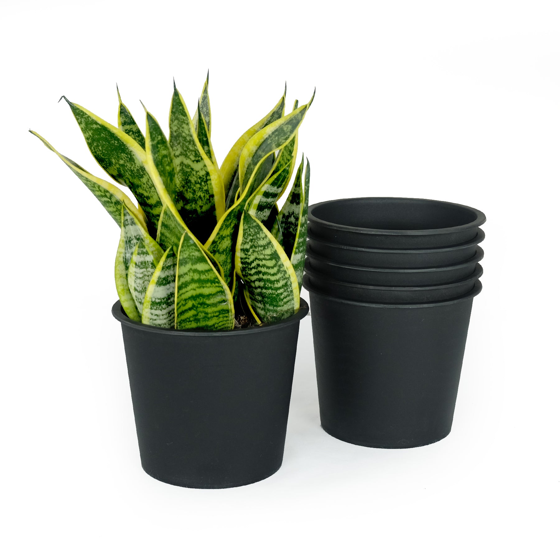 5" Round Nursery Plant Pot Garden Plastic Pots With Drainage 5 Pack Black Plastic