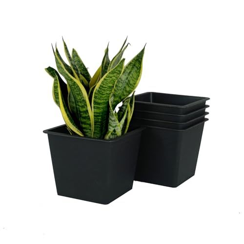 7.9" Square Nursery Plant Pot Garden Plastic Pots With Drainage 5 Pack Black Plastic