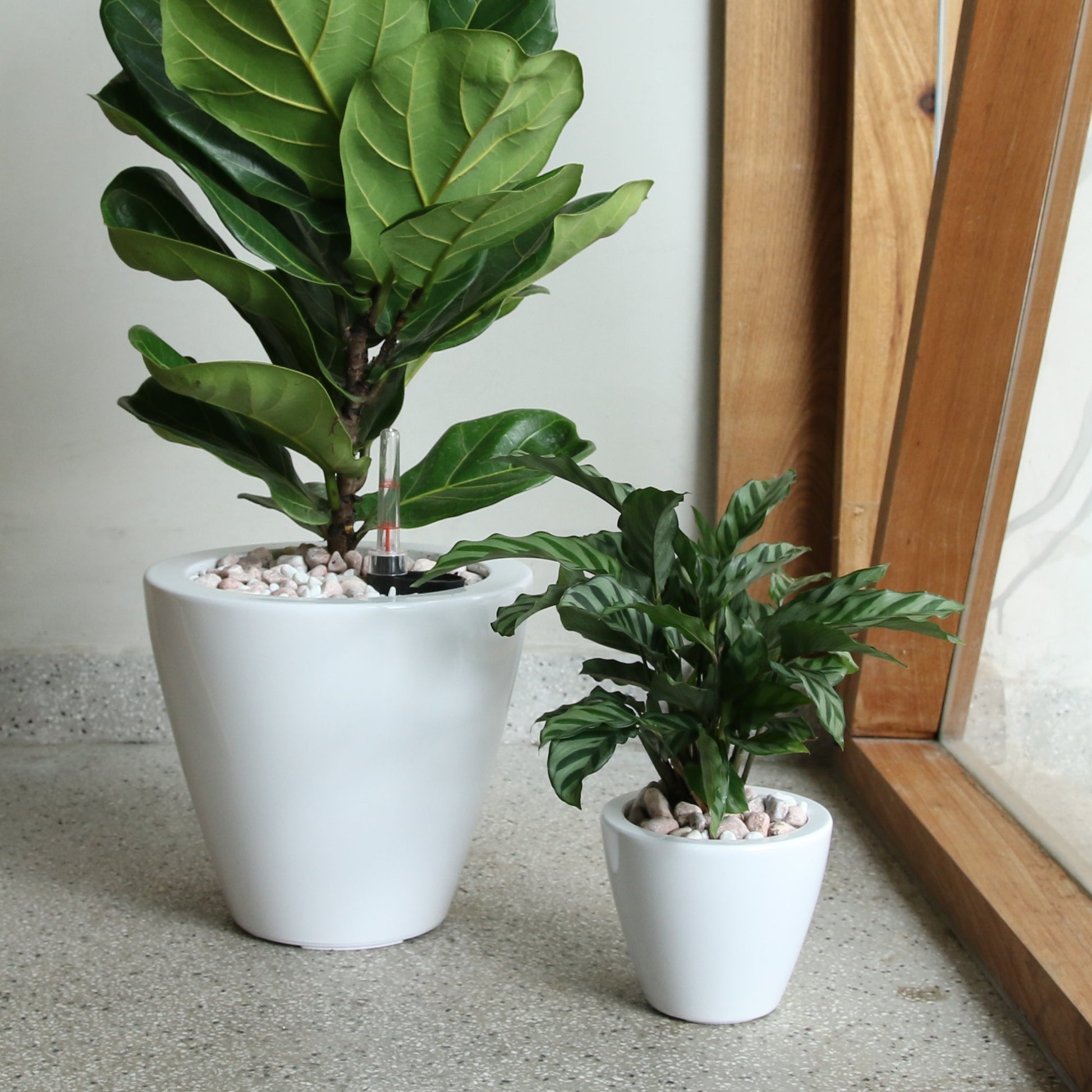 2 Pack Smart Self Watering Planter Pot For Indoor And Outdoor White Round Cone White Abs